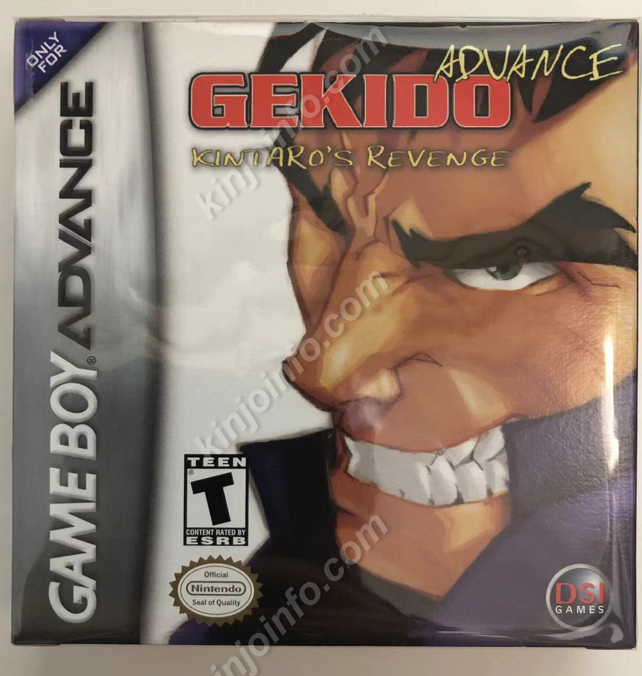 Gekido Advance: Kintaro's Revenge【中古美品・GBA北米版】