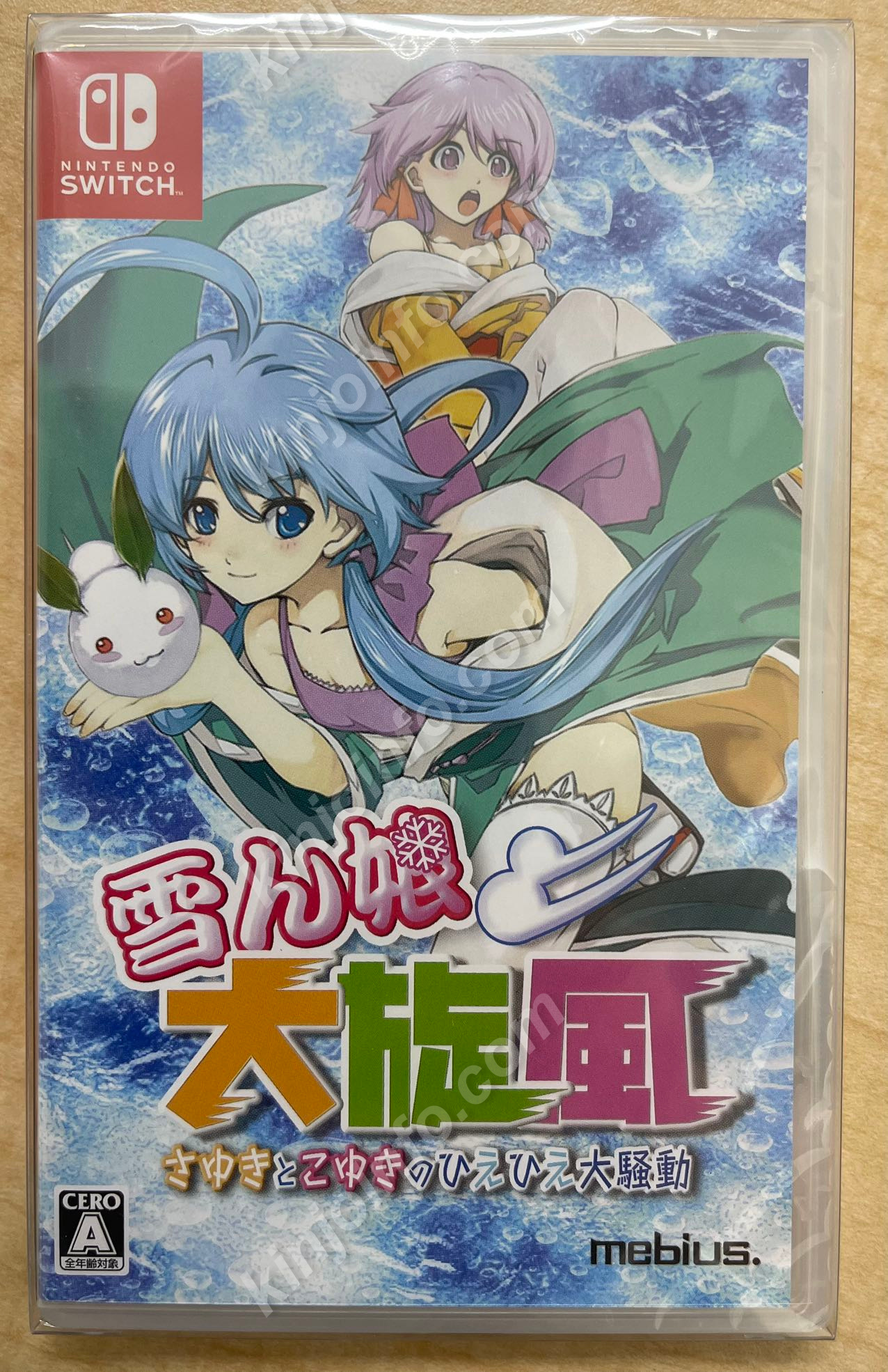 雪ん娘大旋風～さゆきとこゆきのひえひえ大騒動～（Yukinko Daisenpu - Sayuki to Koyuki no Hiehie Daisoudou）【新品未開封・NS日本版】