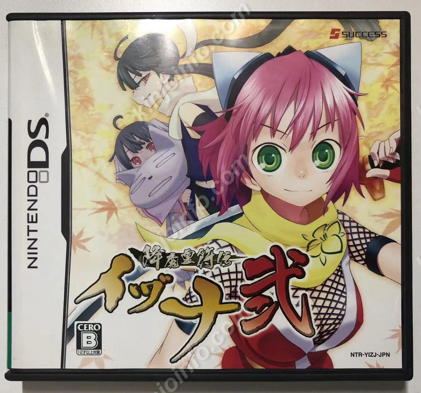 降魔霊符伝イヅナ 弐【中古美品・DS日本版】