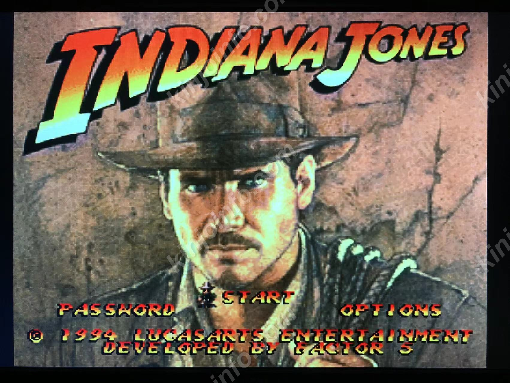 Indiana JonesのGreatest Adventures【中古・SNES北米版】 / kinjoinfo