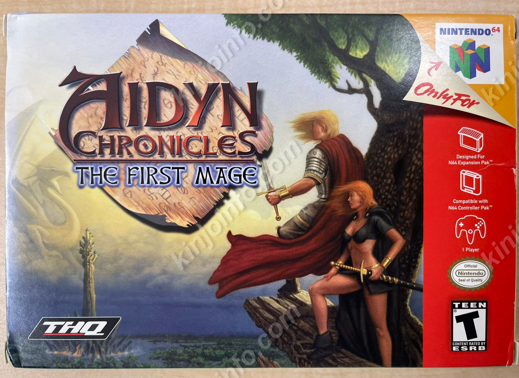 Aidyn Chronicles：The First Mage【中古美品・N64北米版】