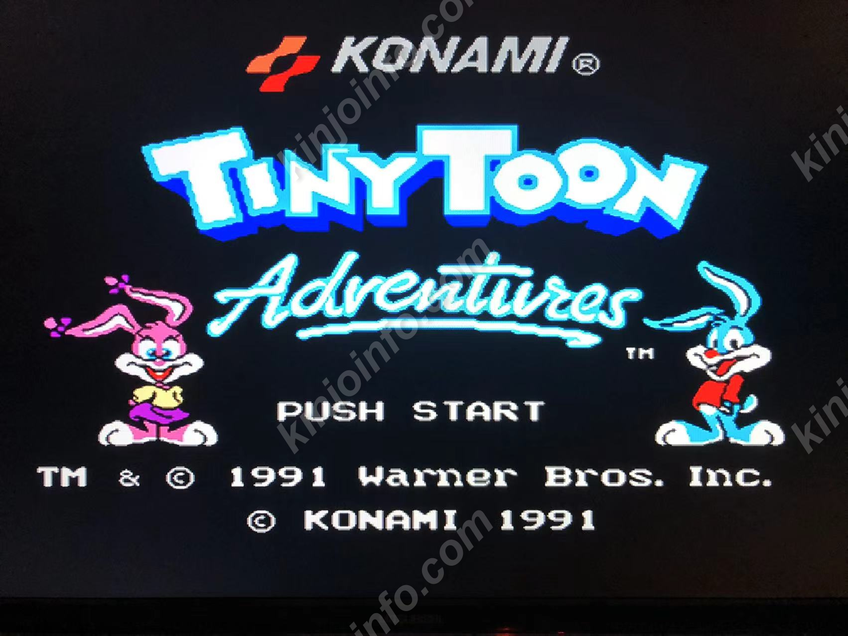 Tiny Toon Adventures【中古・FC日本版】 / kinjoinfo