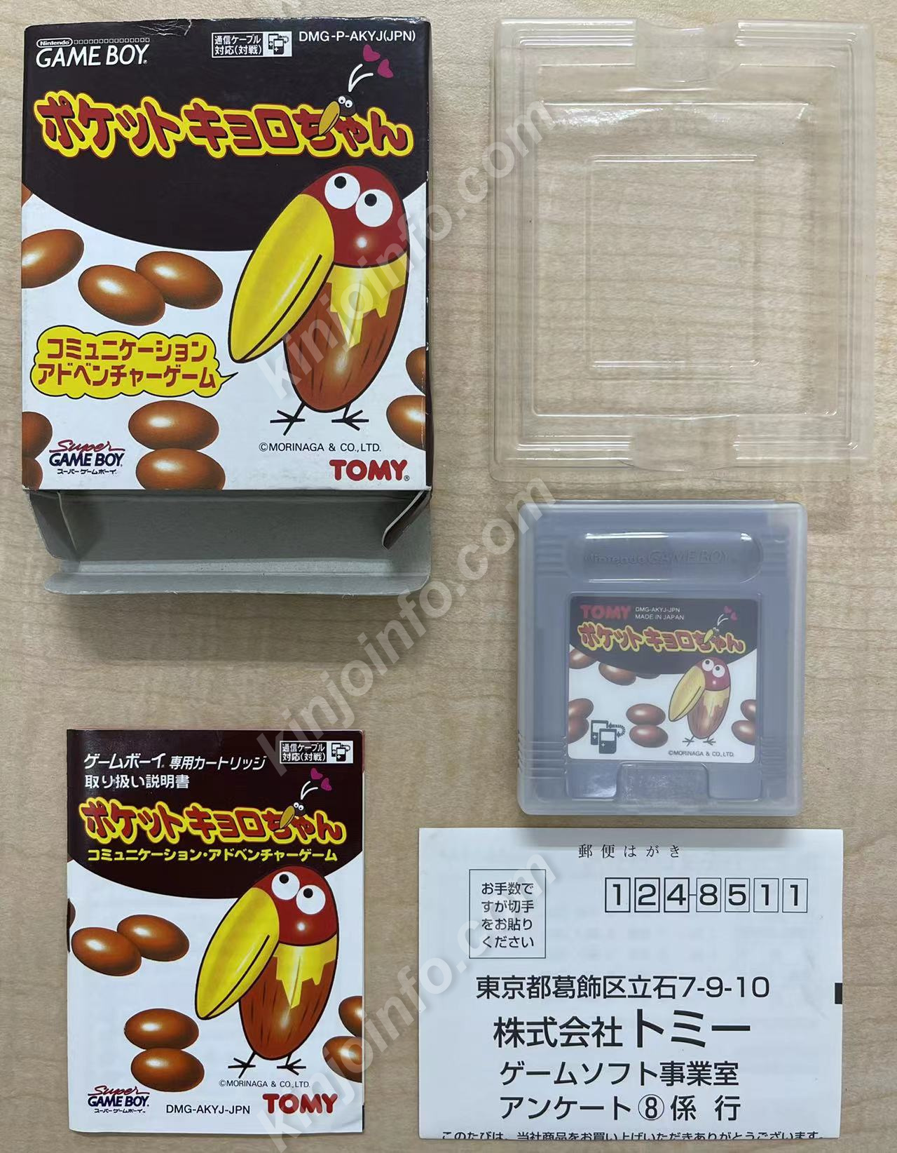 ポケットキョロちゃん【中古美品・GB日本版】 / kinjoinfo