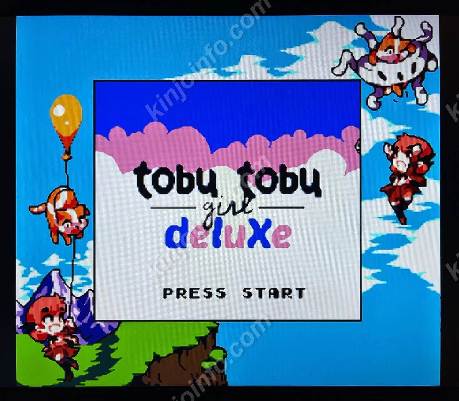 Tobu Tobu Girl Deluxe（とぶとぶがーるでらっくす）【未使用に近い 