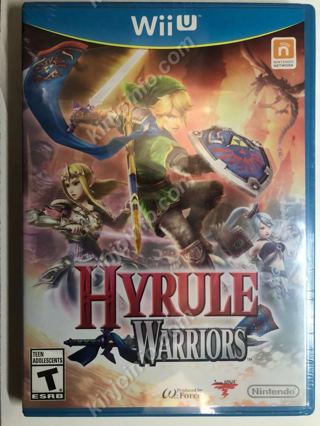 Hyrule Warriors【中古美品・通常版・北米版】
