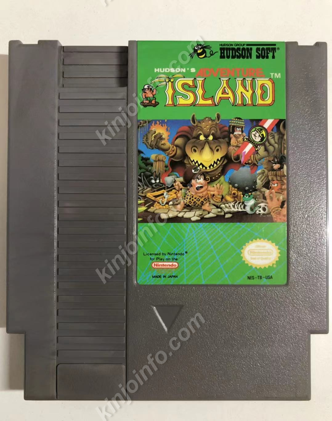 Adventure Island（高橋名人の冒険島）【中古・NES北米版】 / kinjoinfo