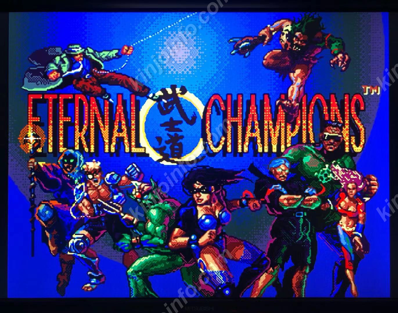 Eternal Champions（エターナルチャンピオンズ）【中古美品・Genesis 