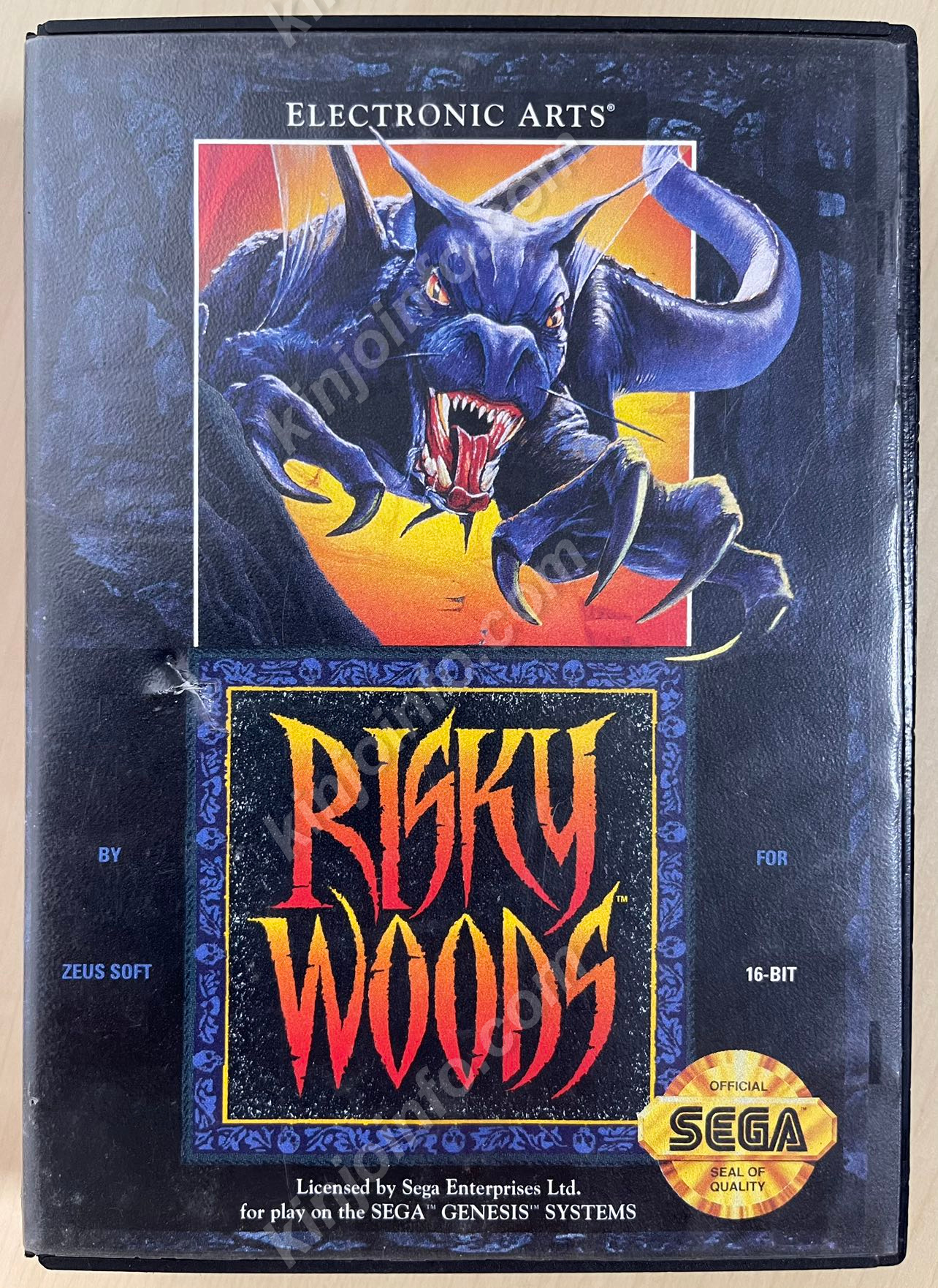 Risky Woods（邪神ドラクソス）【中古美品・MD欧州版】