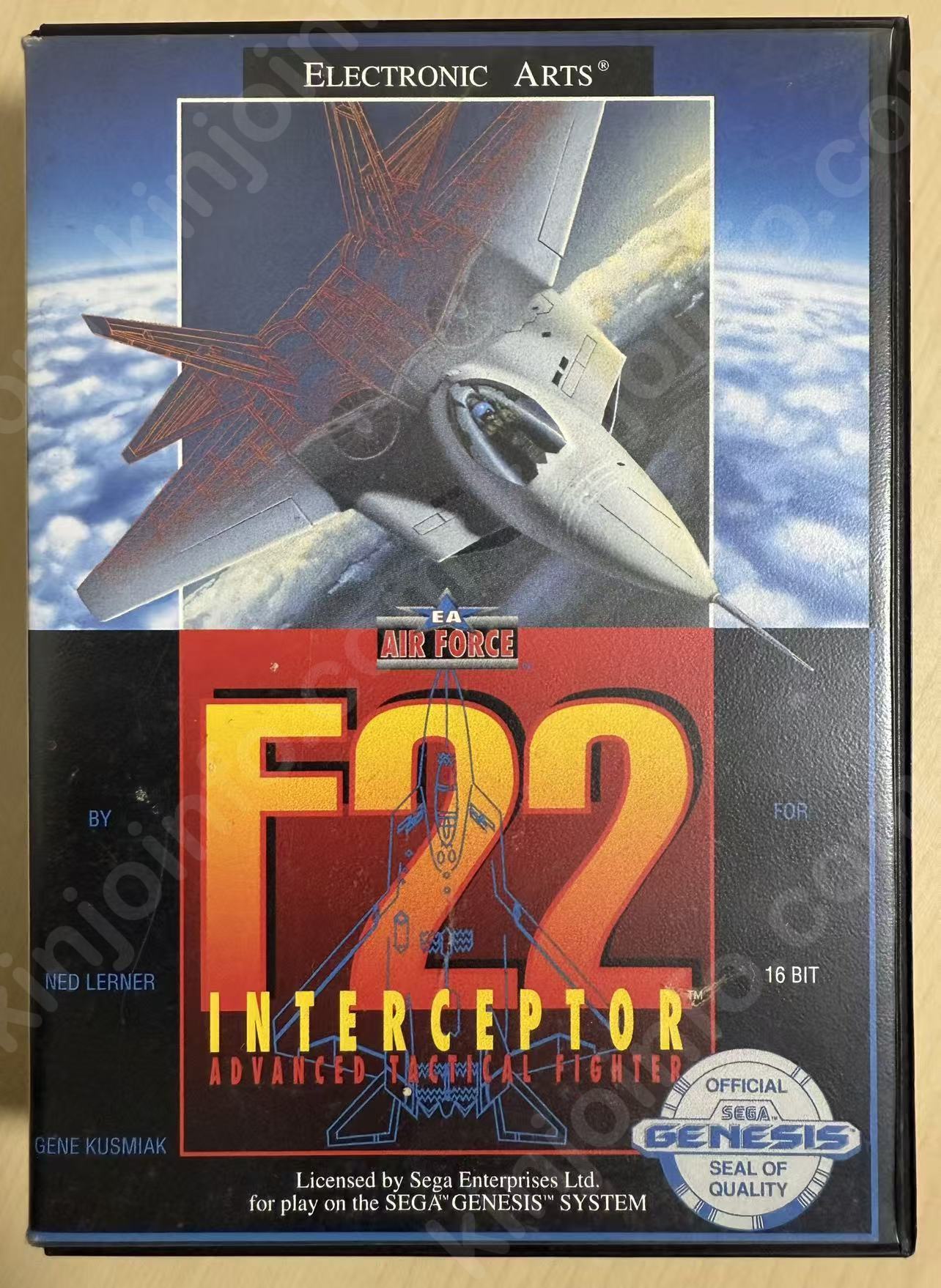 F-22 Interceptor(F-22 インターセプター)【中古美品・GENESIS北米版】